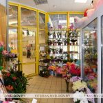 В Новополоцке местный житель ограбил цветочный павильон