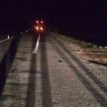 Под Витебском фура насмерть сбила дедушку