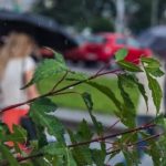 Погода на день 2 августа 2019 года в Беларуси