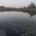 Гибель двухлетнего мальчика под Поставами: Следственный комитет начал проверку