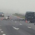 На трассе М4 микроавтобус врезался в стадо коров — мертвые животные разбросаны по дороге