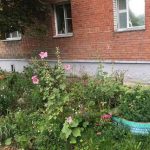 Падение ребенка из окна в Витебске: жизнь мальчику спасли покрышки на клумбе