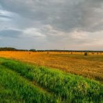 Погода на 27 августа в Беларуси: лето продолжается