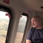 Лукашенко ориентирует регионы на большую самостоятельность в заготовке кормов
