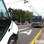 В Витебске оборудовали специальную полосу для общественного транспорта