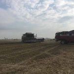 В Оршанском районе прошел праздник Последнего снопа