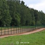 Под Сморгонью турки пробирались в ЕС, но вдруг случилось неожиданное