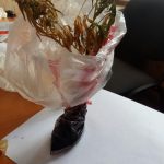 Жительница Барани выращивала коноплю в доме своих родителей