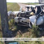 В Светлогорском районе водитель-бесправник влетел в столб