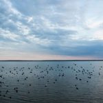 Погода на 31 августа 2019 года: таким будет последний день лета