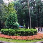 Погода на 5 августа 2019 года: что ждет белорусов