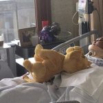Бельгийка 6 дней была зажата в перевернутом авто