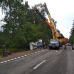 Лось против МАЗа: под Гродно сохатый отправил в кювет цистерну с цементом