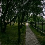 Погода на день 23 сентября 2019 года в Беларуси
