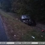 Под Малоритой женщина заснула за рулем и улетела в кювет: пассажирка погибла