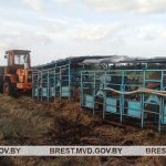 В Ивацевичском районе в поле погиб животновод