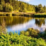 Погода в Беларуси на 8 сентября: лето продолжается