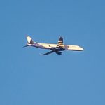 Дебош на борту: Самолет вернули на стоянку в Домодедово