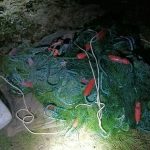 Сотрудники Госинспекции изъяли почти 30 сетей, козел на подворье помог найти еще и обрез: на Днепре задержали браконьеров
