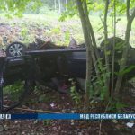 Врезался в дерево и убил девушку. Трагедия на трассе Быхов-Белыничи
