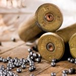 «Прижимистость привела на скамью подсудимых»