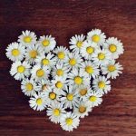Какой сегодня праздник: 26 сентября 2019 года