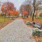 Погода на 14 октября 2019 года: что ожидает белорусов