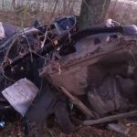 Под Оршей Volkswagen жестко разорвало от удара о дерево – погиб молодой водитель