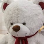 Витебчанин украл огромного плюшевого медведя и подарил своей девушке
