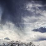 Оранжевый уровень опасности объявлен в Беларуси 12 октября