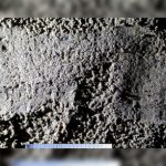 В Жлобине вора, укравшего мобильник, нашли по следу ботинка