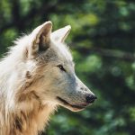 Какой сегодня праздник: 3 октября 2019 года