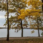 Погода на день 7 ноября по Беларуси