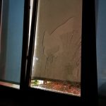 В Чашниках гость на проводах в армию разгромил кафе