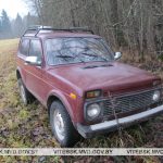 Трое приятелей в Россонском районе угнали чужой автомобиль, чтобы на нем съездить за новой порцией алкоголя