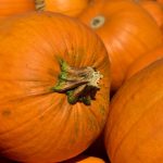 Какой сегодня праздник: 11 ноября 2019 года