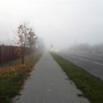 В понедельник в Беларуси будет до 8 тепла