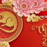 Китайский Новый год-2020: дата и традиции праздника