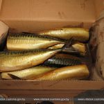 Опасную для потребителя рыбную продукцию пытались ввезти из России на территорию Беларуси