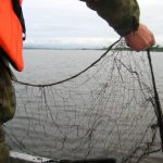 Отсутствие улова не спасло от штрафа пару браконьеров из Витебского района