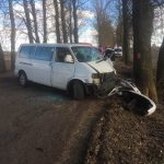 В Витебском районе Volkswagen столкнулся с деревом: потребовалась деблокировка водителя и пассажира
