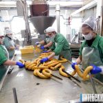 Новый инвестпроект позволит Оршанскому МКК выйти на мировые рынки мясной продукции
