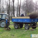 Более 300 оршанцев во время субботника приводили в порядок городской парк по улице Перекопской