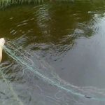Лов рыбы на дорожку