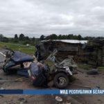 В ДТП в Оршанском районе погибли 2 человека