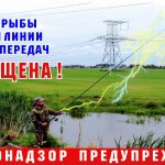 Оршанское МрО филиала Госэнергогазнадзора информирует!!!! Снова рыба по цене жизни!!!!!