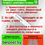Осторожно, фишинг! Будьте внимательны, совершая покупки через Интернет