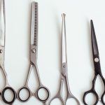 Оршанец украл профессиональный набор для стрижки собак и пытался продать его бывшей владелице