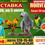 Впервые в Орше! Выставка экзотических попугаев!