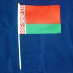 Два оршанца подозреваются в совершении надругательства над Государственными символами Республики Беларусь